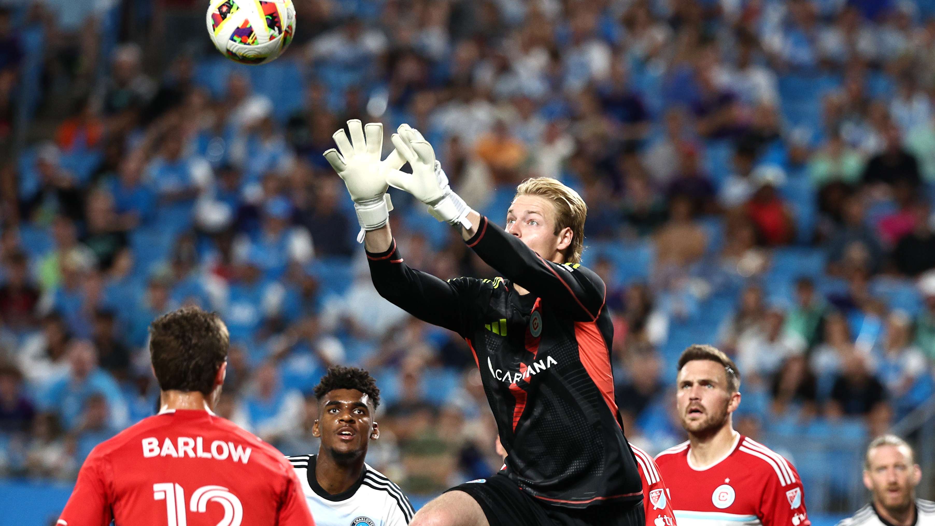 逐渐成为世 逐渐成为世